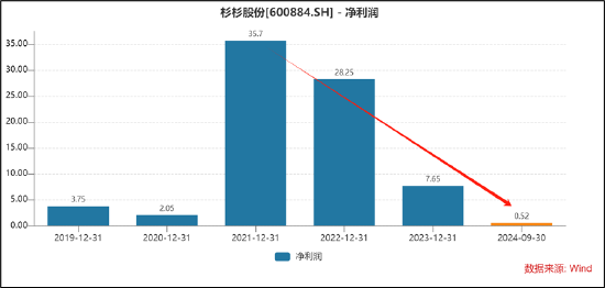 杉杉股份控股权是否稳？遭控股股东债务危机冲击 曾被大股东掏空资金链疑也不乐观-第5张图片