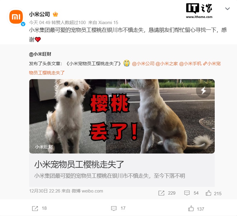 小米宠物员工“樱桃”在银川走失，官方恳请网友帮忙寻找-第1张图片