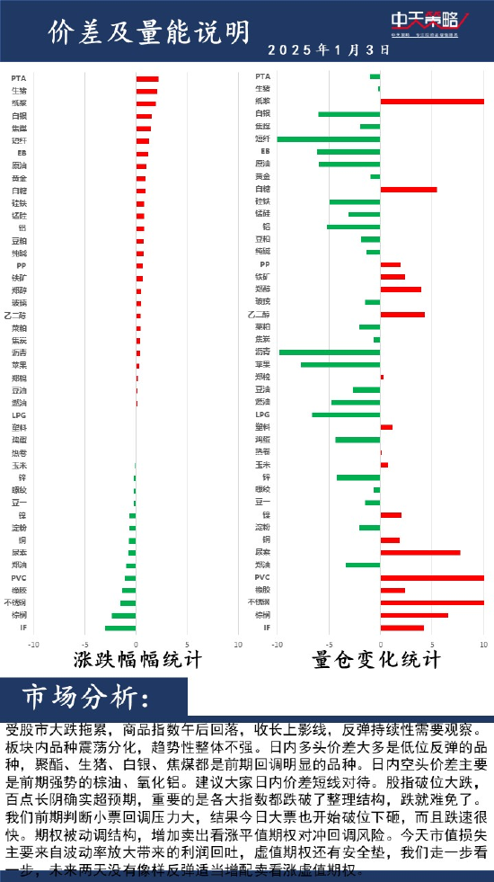 中天策略:1月3日市场分析-第2张图片