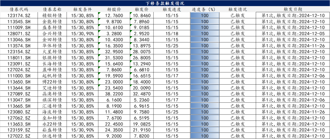 【华安固收】可转债月度数据库来袭，欢迎订阅！-第19张图片