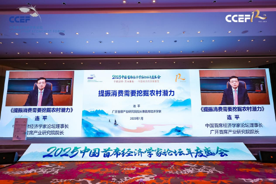 连平：我国农村消费具有巨大潜力，建议连续五年发行超长期特别国债5000亿元，专门用于支持城镇化建设-第1张图片