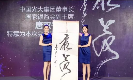 毁誉参半的金融“雅腐”唐双宁-第7张图片