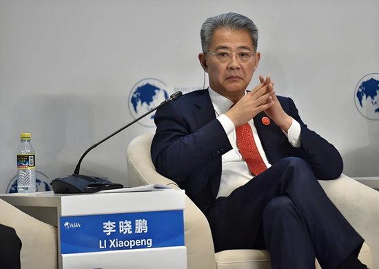 毁誉参半的金融“雅腐”唐双宁-第8张图片