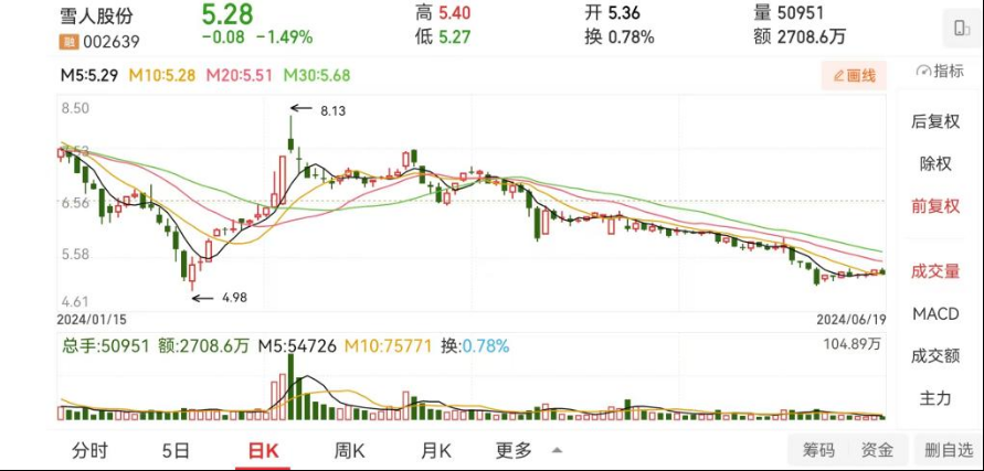 雪人股份收“罚单”-第2张图片