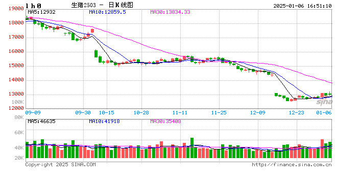 1月6日猪价汇总（均价由涨转跌！）-第2张图片