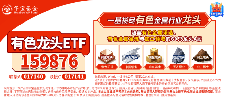 稀土永磁逆市活跃！“政策支持+市场需求”双轮驱动，有色龙头ETF（159876）最高上探2.52%-第5张图片