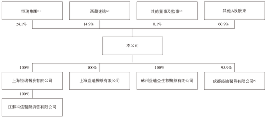 恒瑞医药递交IPO招股书，拟赴香港上市，摩根士丹利、花旗、华泰联席保荐-第5张图片