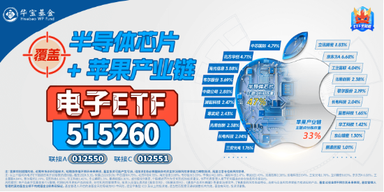 “两新”政策扩围！“科技春晚”+购新补贴等多重催化，电子ETF（515260）猛拉4%，超百亿主力资金狂涌！-第4张图片