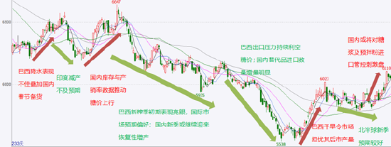 白糖2025年展望：风起摇春水 花飞满空天-第3张图片