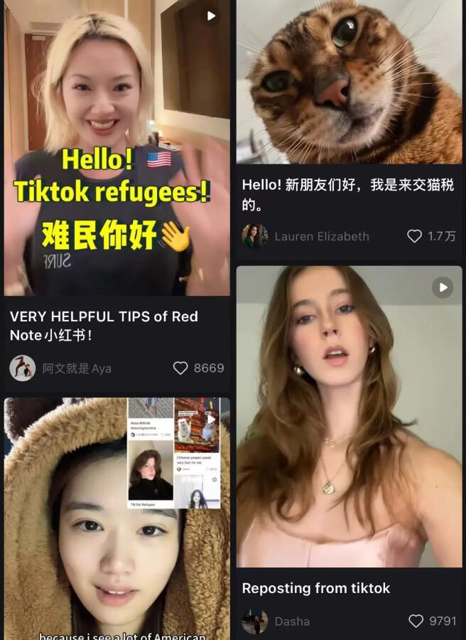 “没有美区用户的TikTok会变无聊”  面对“TikTok难民”用脚投票，小红书能接住这“泼天流量”吗-第3张图片