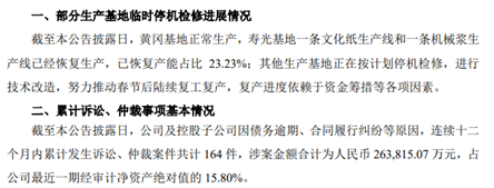 产能检修、诉讼缠身，造纸巨头晨鸣纸业2024年预亏65亿至75亿-第3张图片