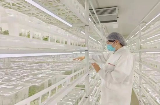 中国人1年吃掉1000亿根薯条，内蒙小城在背后赚大钱-第4张图片